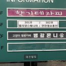 뱅갈온니 이미지