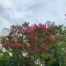 난쏘공 | <병신과 머저리> 이청준 독서모임 후기