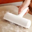 올리브펫 이미지