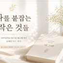 석류미인처럼