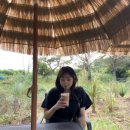 레이지데이스 | [구리카페] 레이지데이스 푸릇푸릇 정원이 너무 이쁘고 갤러리같은 분위기 좋은 이쁜카페❤️