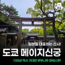 메이지 | 도쿄 메이지 신궁 후기 | 100년 숲과 부부나무가 있는 신사