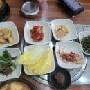 정찌개백반