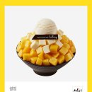 박*현 이미지