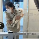 메리몽드 펫살롱 이미지