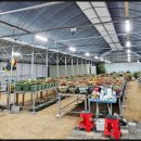 동선축사 이미지