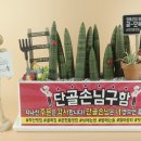 골목집식당 - 서귀포시 | 골목집식당