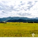 NR-18[구례로]-하-250 | 2013년 11월 [5] 품이 너른 평온한 집 ... 구례 운조루