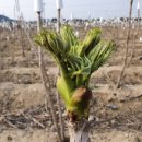 적음농장 이미지