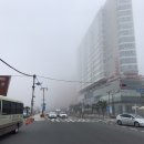 뚱보샵