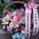 금화원 이미지