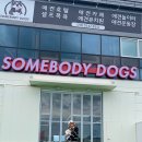 썸바디독스 이미지