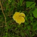 율하2지구_모산공원산책로 이미지