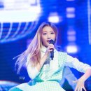 예인 Daum카페