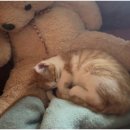 자유로운 사색가 이미지