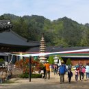 평창 월정사 팔각구층석탑 | 평창 월정사 팔각구층석탑(平昌 月精寺 八角九層石塔).강원