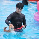 도그 스포지움 이미지