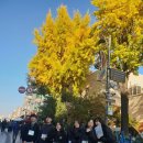 청석초교(병설) 이미지