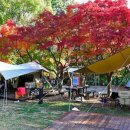 월출산국립공원 천황사야영장 이미지