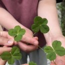 꽃담 화덕생선구이 이미지