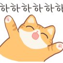 에코펫케어 이미지