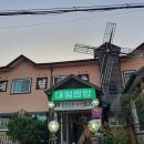 대림쌈밥 티스토리