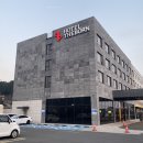 [제주도] 호텔 더본 제주, 주니어 스위트 숙박 후기