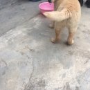 재철농장 이미지