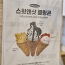 달달 스윗 마카롱꾸미기 | 둔산동 디저트카페 와플맛집 스윗앤샷 대전둔산점