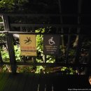 봉화산로45길 | 서울 봉화산 둘레길 저녁 야간 산책하고 온 후기