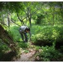 조동일농장 이미지