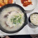 설곰탕 이미지