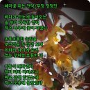 꽃피는언덕 이미지