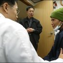 아멜리아 이미지