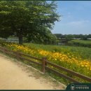 호수요양병원 이미지