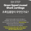 초록상어 이미지