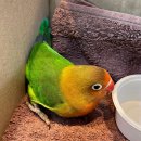 건영아파트 옆 이미지