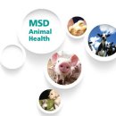 한국엠에스디동물약품(주) 이미지