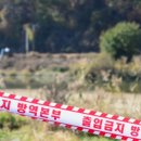 사안농장 이미지