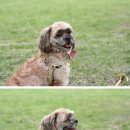 부평공원 이미지