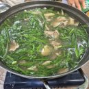 선우산장 | 미식선정 추천 양평 계곡 앞 닭백숙 맛집 선우산장
