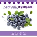 박농부디자인