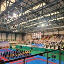 금빛 호랑이 태권도 이미지