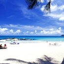 코사무이 이미지