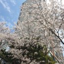 모박곡 | 강화 한옥인테리어 전문업체