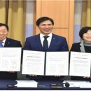 안산태양광발전소 이미지