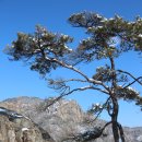 [2017-12월. 183차 송년산행] ♣ 부안 내변산의 눈[雪] (2) 이미지