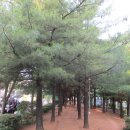 부천둘레길3코스 Daum카페