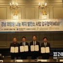 SUNNY태양광발전소 이미지