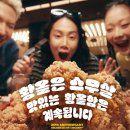 45 이미지